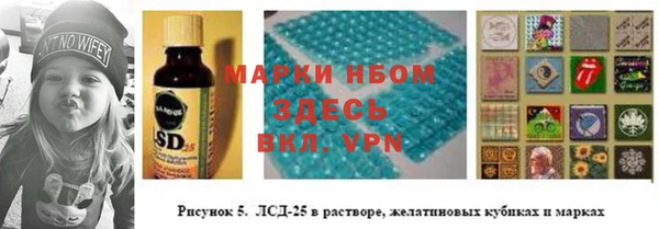 мяу мяу мука Аркадак